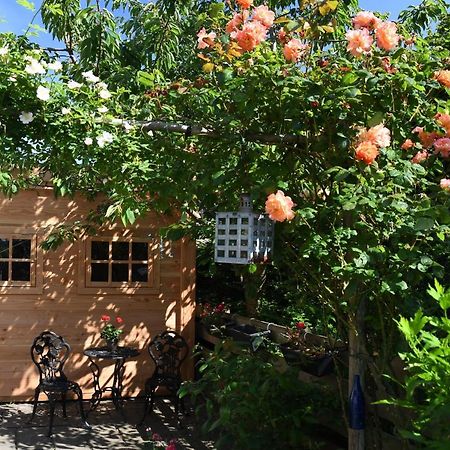 Wadden Eiland Bed En Breakfast Op Texel Oudeschild Luaran gambar