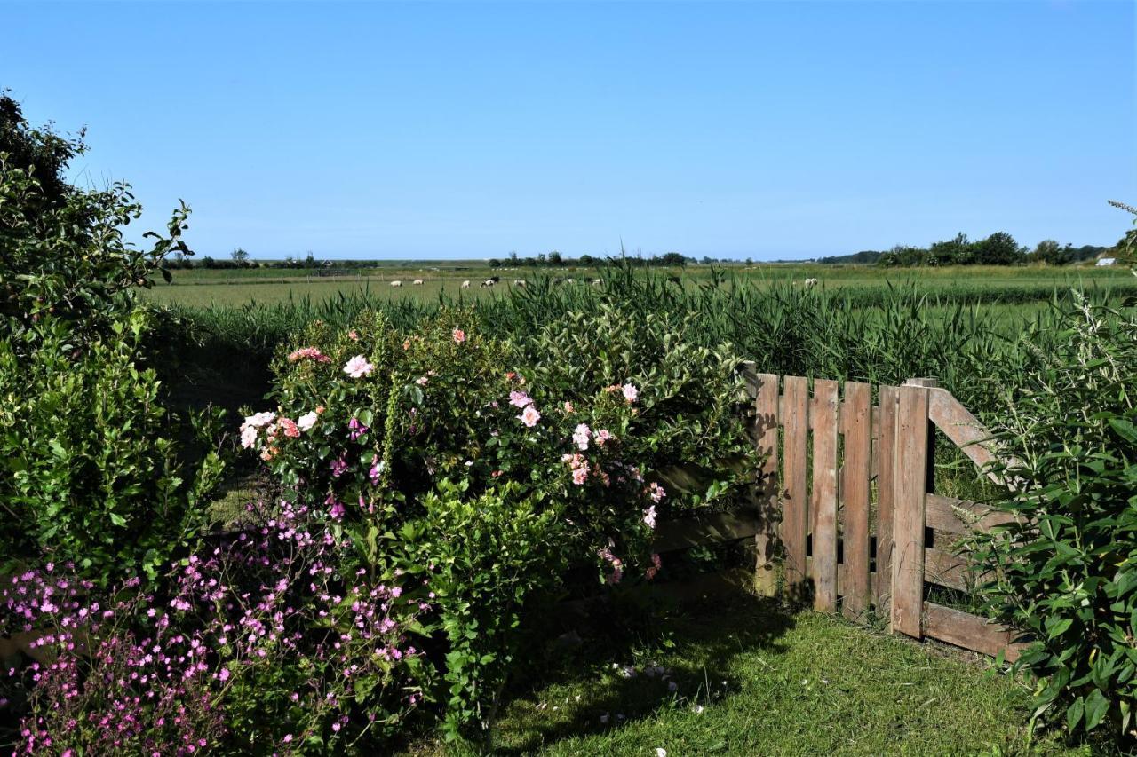 Wadden Eiland Bed En Breakfast Op Texel Oudeschild Luaran gambar